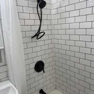 Plumbing Fixture Installation and Repair in Duluth